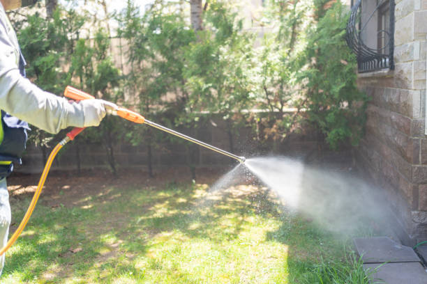 Best Cockroach Control  in Sterling, GA